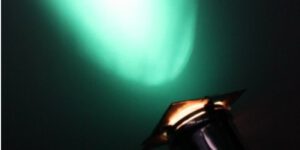 floorspot par 56 300/500 w